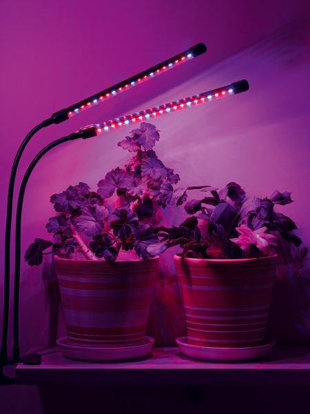 Светильники для растений